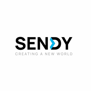 Статистика Дзен SENDY денежные переводы в страны СНГ