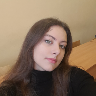 Статистика Дзен Беличья норка