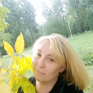 Статистика Дзен Лена Кудрявцева