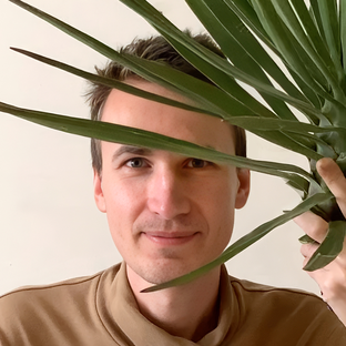 Статистика Дзен Alex Las Plantas