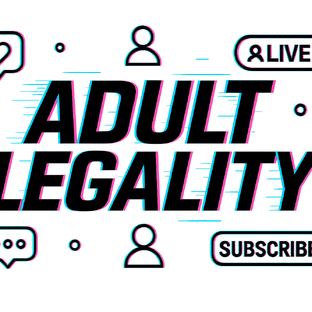 Статистика Дзен Adult Legality