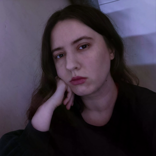 Статистика Дзен Лиса в поисках дзена. Дневник.