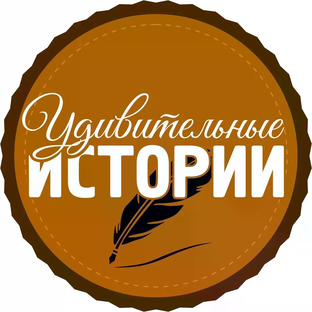 Статистика Дзен Интересные истории