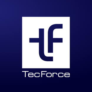 Статистика Дзен TecForce