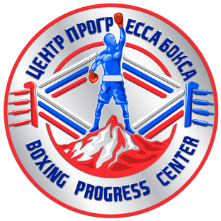 Статистика Дзен Центр Прогресса бокса на м. Электрозаводская