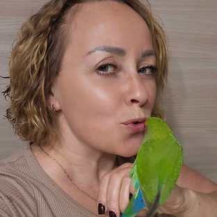 Статистика Дзен Варвара Скворцова