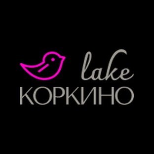 Статистика Дзен Загородный комплекс  Коркино Lake