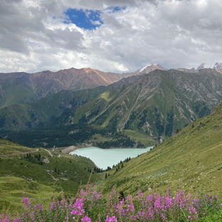 Статистика Дзен Сама себе туроператор