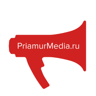 Статистика Дзен PriamurMedia