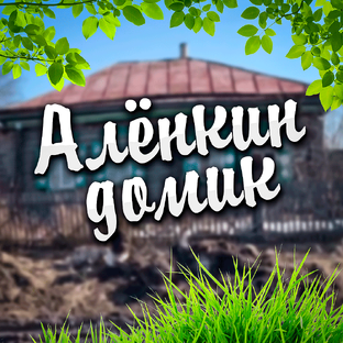 Статистика Дзен Алёнкин Домик