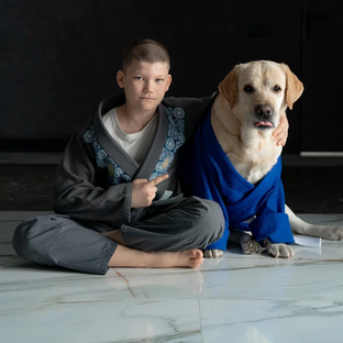 Статистика Дзен Elizarov_bjj