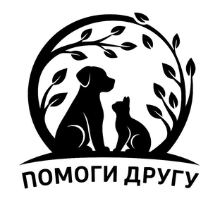 Статистика Дзен АНО «Помощь животным "Помоги другу"» г. Луганск