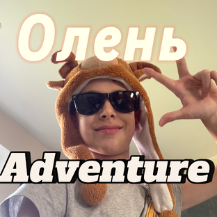 Статистика Дзен ОЛЕНЬ ADVENTURE