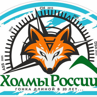 Статистика Дзен Холмы России LIFE