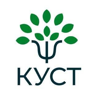Статистика Дзен «КУСТ» психологический семейный центр