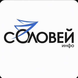 Статистика Дзен Соловей.Инфо