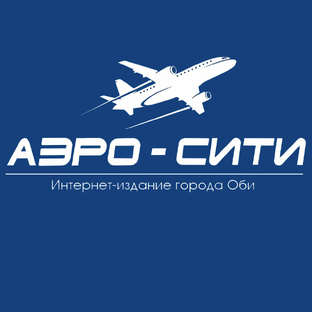 Статистика Дзен Аэро-Сити (г. Обь)