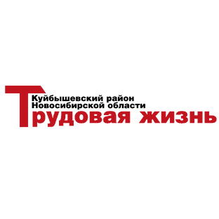 Статистика Дзен Трудовая жизнь (г. Куйбышев)