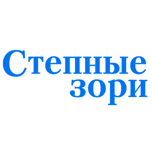 Статистика Дзен Степные зори (с. Кочки)