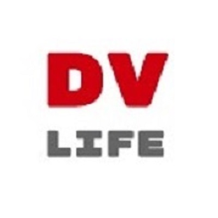 Статистика Дзен DVlife