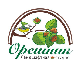 Статистика Дзен Ландшафтная студия Орешник