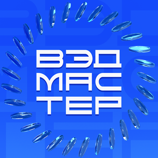 Статистика Дзен Говорит "ВЭД-Мастер"