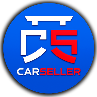 Статистика Дзен CARSELLER