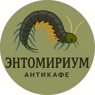 Статистика Дзен Антикафе "ЭнтоМириум" / EntoMirium