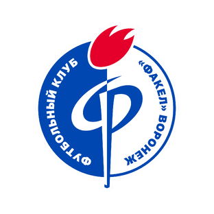 Статистика Дзен ФК «Факел»