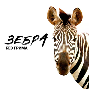 Статистика Дзен Искренний подкаст "Зебра без грима"