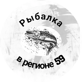 Статистика Дзен Рыбалка в регионе 59