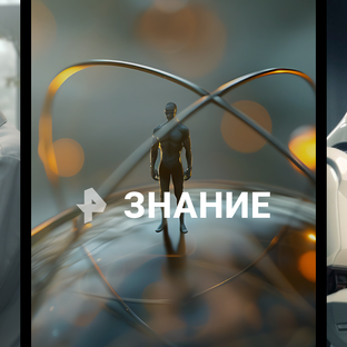 Статистика Дзен РЕН. Знание