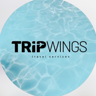 Статистика Дзен Tripwings