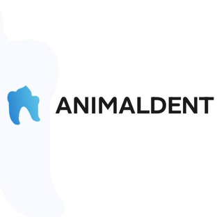 Статистика Дзен Центр ветеринарной стоматологии AnimalDent (Москва)