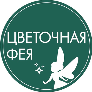Статистика Дзен Цветочная фея Краснодар