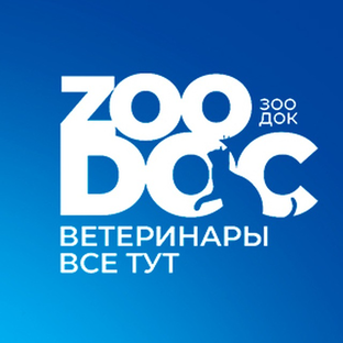 Статистика Дзен ZooDoc.ru