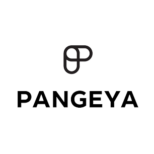Статистика Дзен PANGEYA