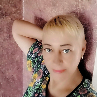 Статистика Дзен Кошки и жизнь