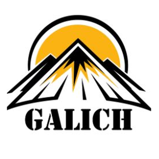 Статистика Дзен GALICH — производственная компания