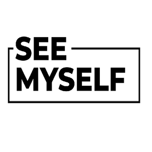 Статистика Дзен SeeMyself