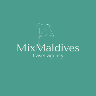 Статистика Дзен Mix Maldives туры на Мальдивы Ворошиловой Наталии