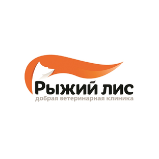 Статистика Дзен Ветеринарная клиника «Рыжий лис»