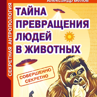 Статистика Дзен энтропиологический институт 2