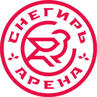 Статистика Дзен Арена Снегирь