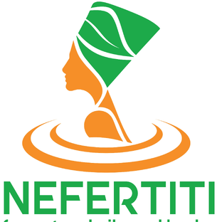 Статистика Дзен NEFERTITI | О маслах и не только