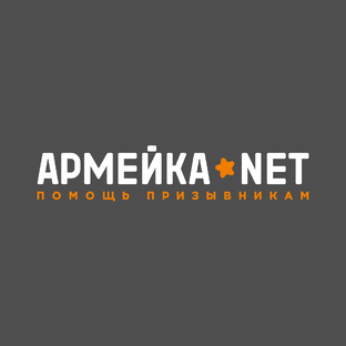 Статистика Дзен Армейка Net | Помощь призывникам