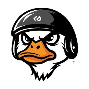 Статистика Дзен LUCKY DUCK