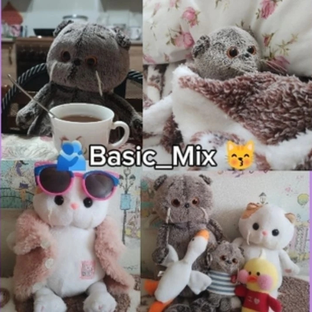 Статистика Дзен 🫂BASIK_MIX🐾