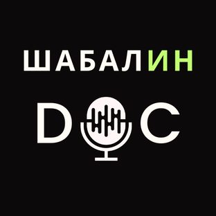 Статистика Дзен ШАБАЛИН DOC