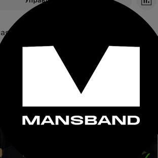 Статистика Дзен Mansband